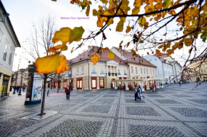 Гостиница Sibiu Main Square Apartment  Сибиу